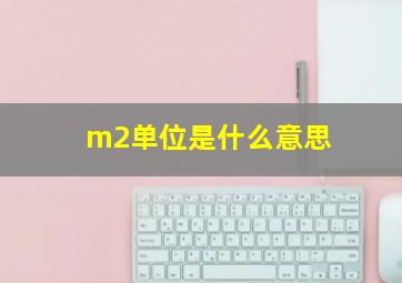 m2单位是什么意思