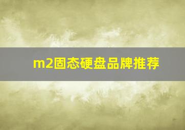 m2固态硬盘品牌推荐