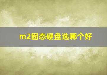 m2固态硬盘选哪个好