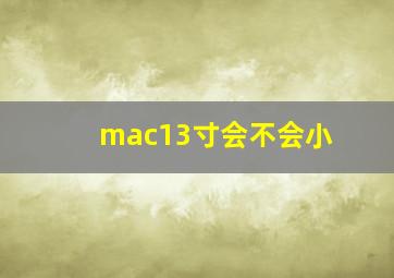 mac13寸会不会小