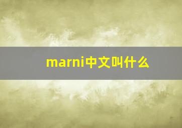 marni中文叫什么