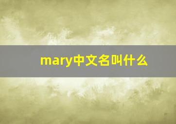 mary中文名叫什么