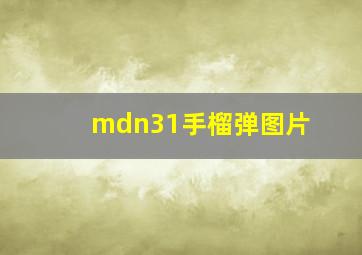 mdn31手榴弹图片