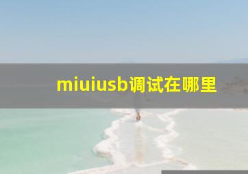 miuiusb调试在哪里