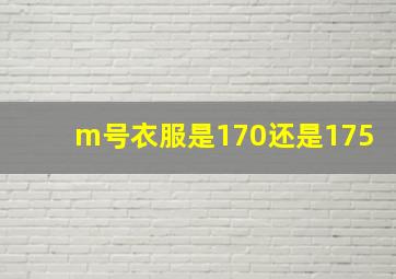 m号衣服是170还是175