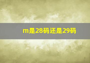 m是28码还是29码