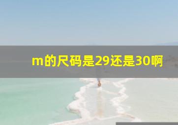 m的尺码是29还是30啊