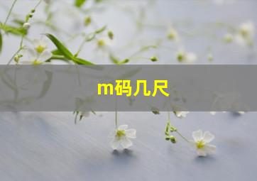 m码几尺