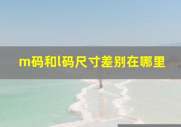 m码和l码尺寸差别在哪里