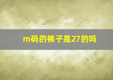 m码的裤子是27的吗