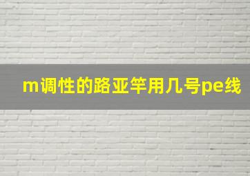 m调性的路亚竿用几号pe线