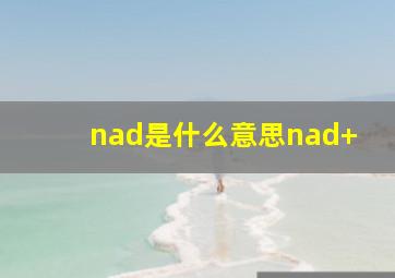 nad是什么意思nad+