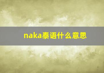 naka泰语什么意思