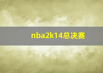 nba2k14总决赛