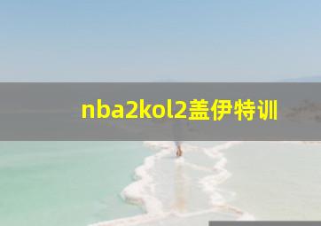 nba2kol2盖伊特训