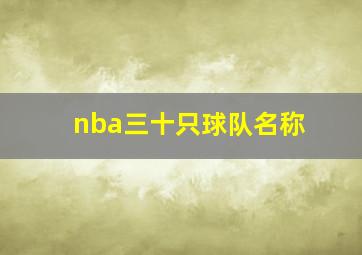 nba三十只球队名称