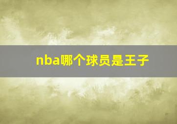 nba哪个球员是王子