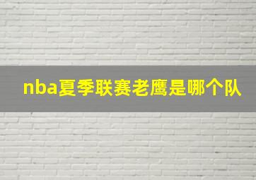 nba夏季联赛老鹰是哪个队