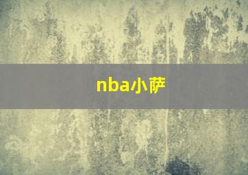 nba小萨