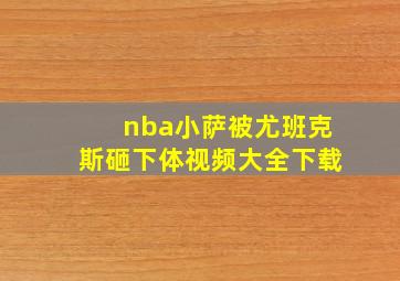 nba小萨被尤班克斯砸下体视频大全下载