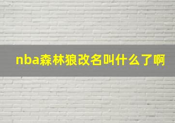 nba森林狼改名叫什么了啊