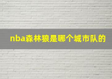 nba森林狼是哪个城市队的