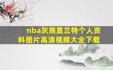 nba灰熊莫兰特个人资料图片高清视频大全下载