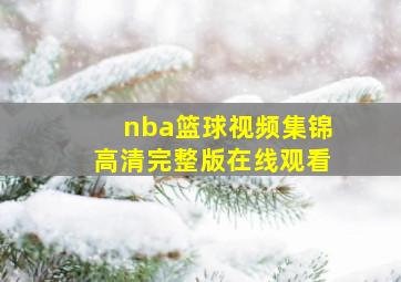 nba篮球视频集锦高清完整版在线观看