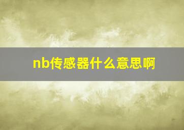 nb传感器什么意思啊