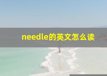 needle的英文怎么读