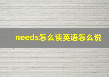 needs怎么读英语怎么说