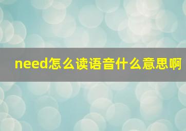 need怎么读语音什么意思啊