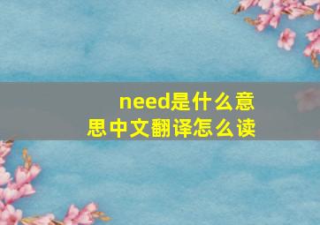 need是什么意思中文翻译怎么读