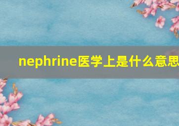 nephrine医学上是什么意思