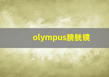 olympus膀胱镜