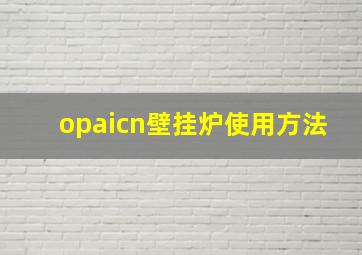 opaicn壁挂炉使用方法