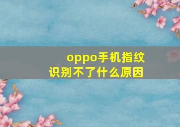 oppo手机指纹识别不了什么原因