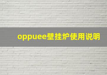 oppuee壁挂炉使用说明