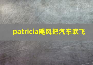 patricia飓风把汽车吹飞