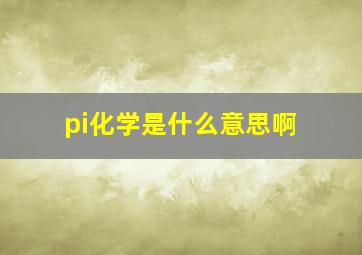 pi化学是什么意思啊