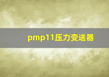 pmp11压力变送器