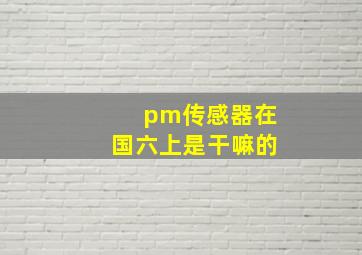 pm传感器在国六上是干嘛的