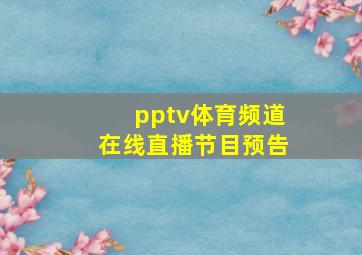 pptv体育频道在线直播节目预告