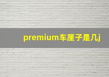 premium车厘子是几j