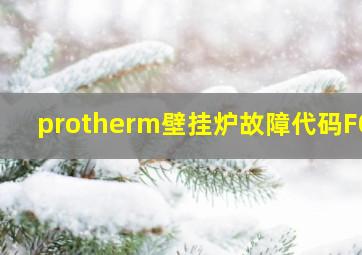 protherm壁挂炉故障代码F04