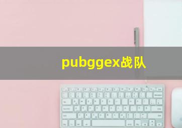 pubggex战队