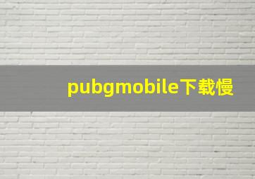 pubgmobile下载慢