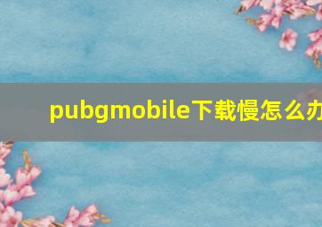 pubgmobile下载慢怎么办