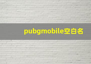 pubgmobile空白名