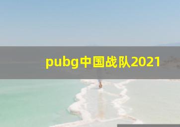 pubg中国战队2021